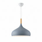 Macaron LED Aluminum Pendant Light Single-Head Nordic Ceiling Fixture
